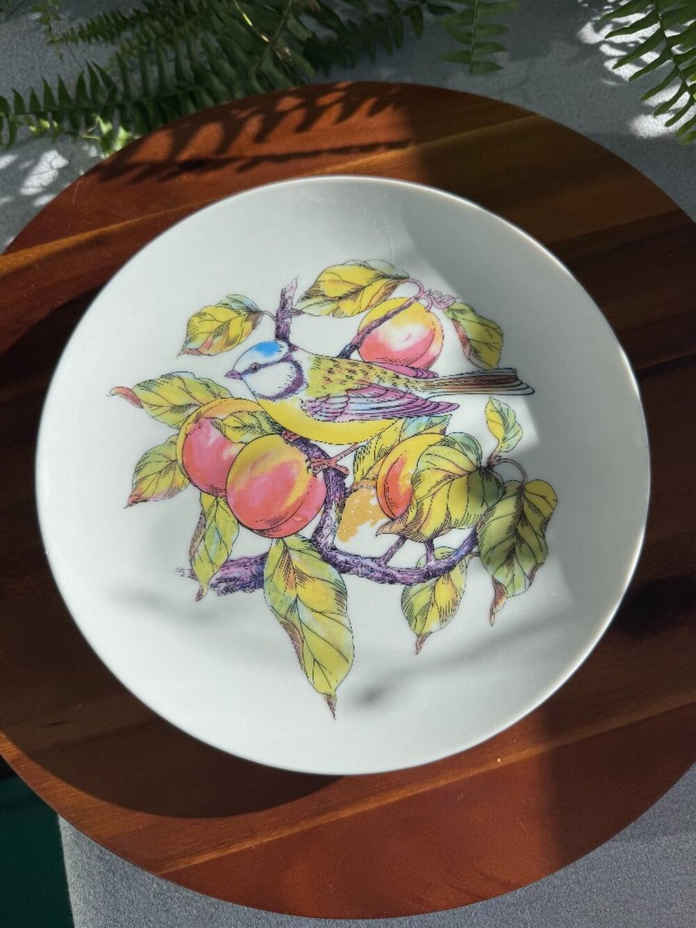 Vintage Shafford Blue Tit Bird Plate from "Audubon" Collection